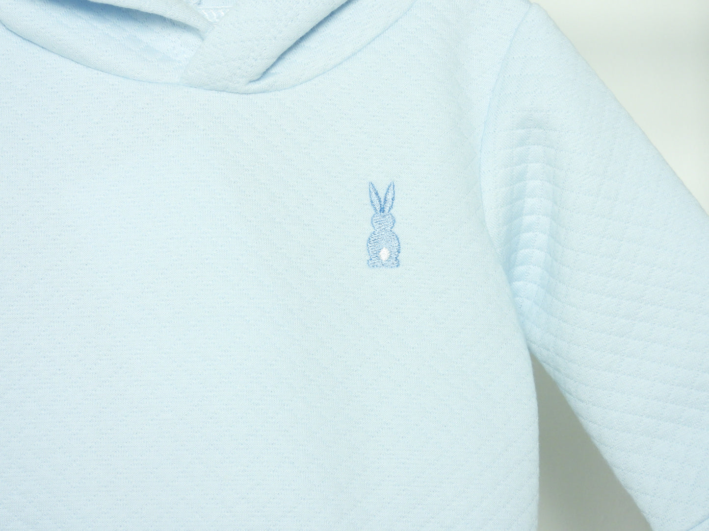 Blue Bunny Hoodie and Shorts Set